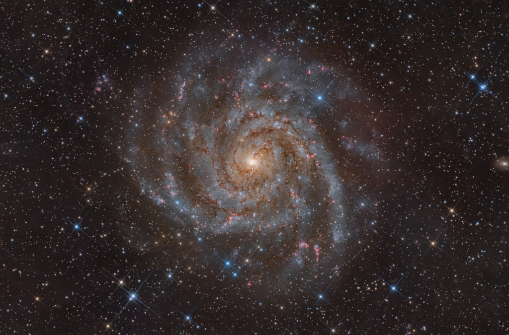 IC 342: Hidden Galaxy in Camelopardalis