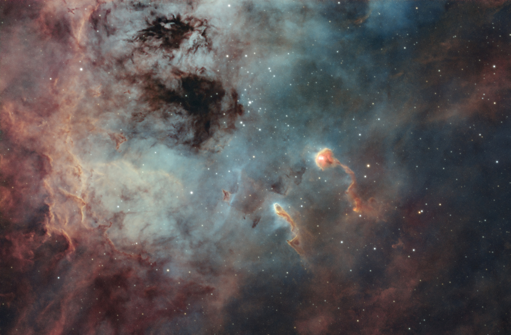The Tadpoles of IC 410