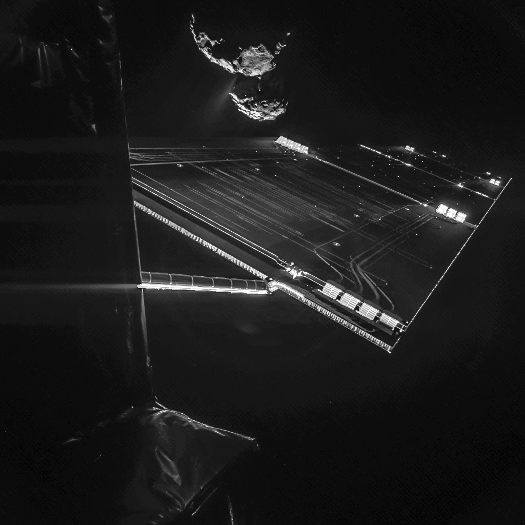 L'autoportrait de Rosetta
