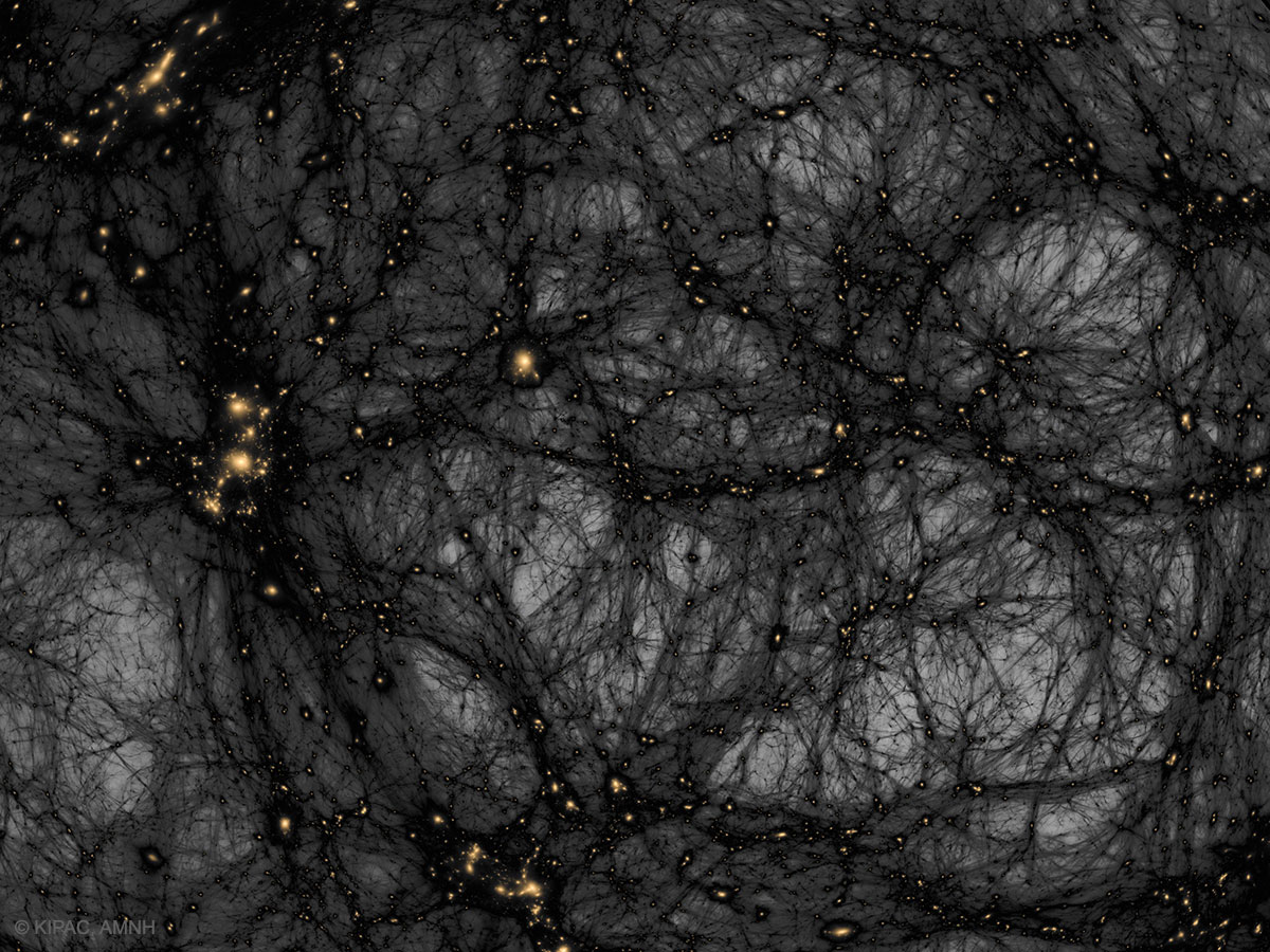 La matière noire dans un univers simulé