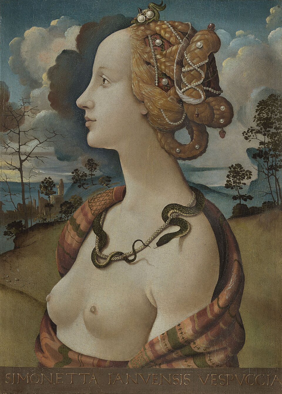 Portrait de Simonetta Vespucci, Piero di Cosimo