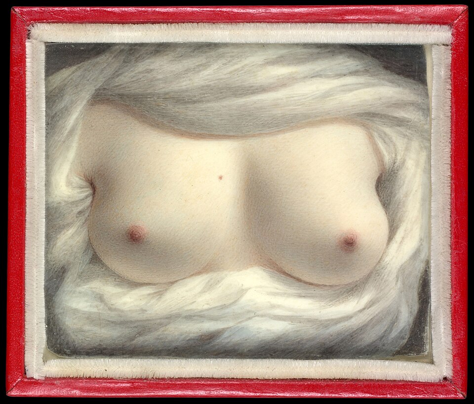 Beauté révélée, Sarah Goodridge
