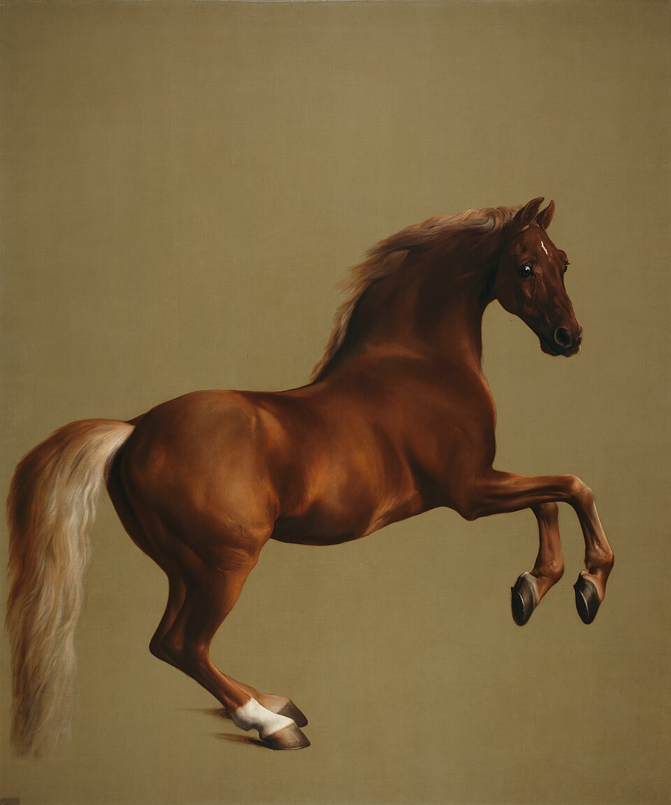 Whistlejacket, George Stubbs