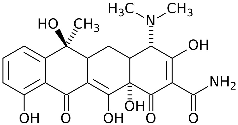 La tétracycline, Lloyd Conover