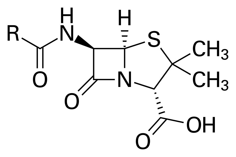 La production industrielle de la pénicilline, Andrew J. Moyer